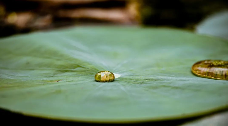 LEMAN フッ素系防水剤はどのようにして生地の耐久撥水効果を実現するのですか？